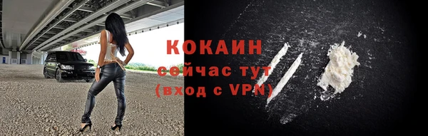 кокс Алексин